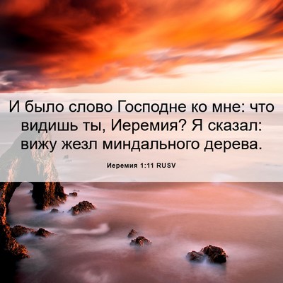 Picture 06 - Иеремия 1:11 RUSV - И было слово Господне ко - Bible Verse Picture
