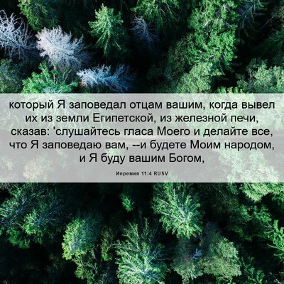 Picture 06 - Иеремия 11:4 RUSV - который Я заповедал отцам - Bible Verse Picture