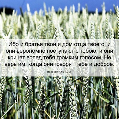 Picture 06 - Иеремия 12:6 RUSV - Ибо и братья твои и дом - Bible Verse Picture