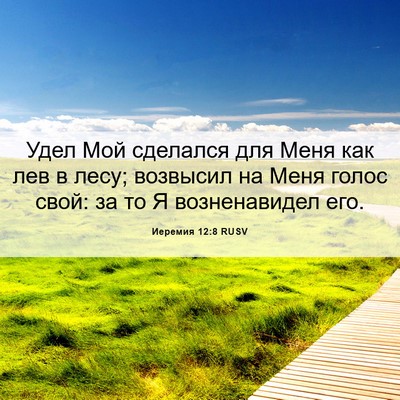 Picture 06 - Иеремия 12:8 RUSV - Удел Мой сделался для Меня - Bible Verse Picture