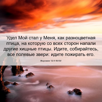 Picture 06 - Иеремия 12:9 RUSV - Удел Мой стал у Меня, как - Bible Verse Picture