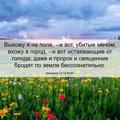 Picture 06 - Иеремия 14:18 RUSV - Выхожу я на поле, --и вот, - Bible Verse Picture