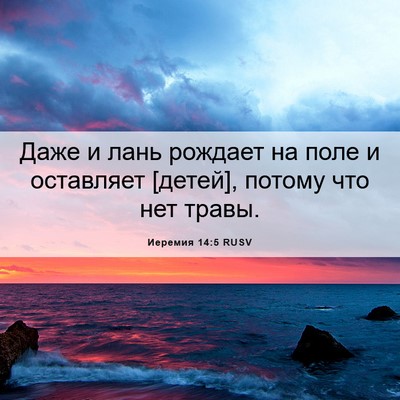 Picture 06 - Иеремия 14:5 RUSV - Даже и лань рождает на поле - Bible Verse Picture