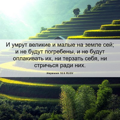 Picture 06 - Иеремия 16:6 RUSV - И умрут великие и малые на - Bible Verse Picture