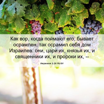 Picture 06 - Иеремия 2:26 RUSV - Как вор, когда поймают его, - Bible Verse Picture