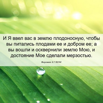 Picture 06 - Иеремия 2:7 RUSV - И Я ввел вас в землю - Bible Verse Picture