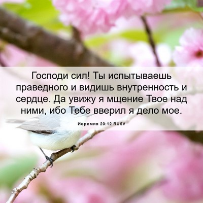 Picture 06 - Иеремия 20:12 RUSV - Господи сил! Ты - Bible Verse Picture
