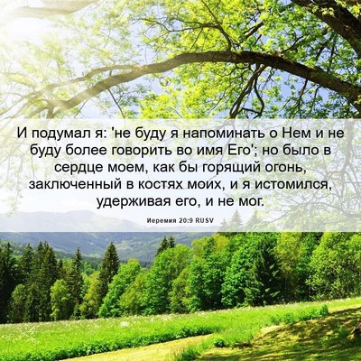 Picture 06 - Иеремия 20:9 RUSV - И подумал я: 'не буду я - Bible Verse Picture