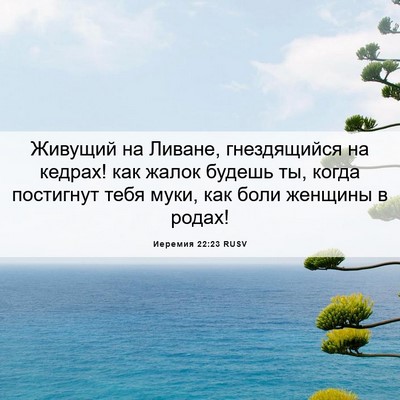 Picture 06 - Иеремия 22:23 RUSV - Живущий на Ливане, - Bible Verse Picture