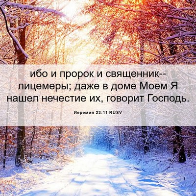 Picture 06 - Иеремия 23:11 RUSV - ибо и пророк и - Bible Verse Picture