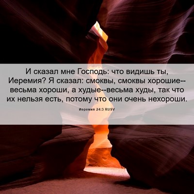 Picture 06 - Иеремия 24:3 RUSV - И сказал мне Господь: что - Bible Verse Picture