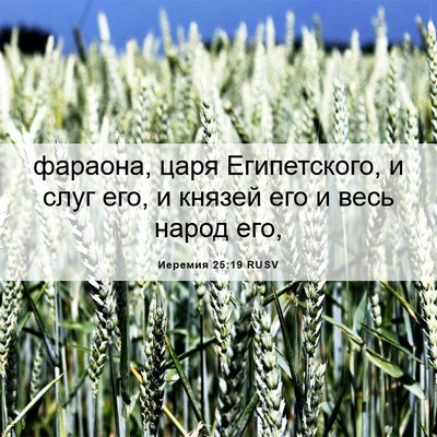 Picture 06 - Иеремия 25:19 RUSV - фараона, царя Египетского, - Bible Verse Picture