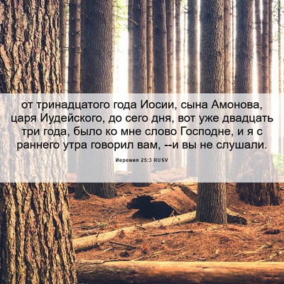 Picture 06 - Иеремия 25:3 RUSV - от тринадцатого года - Bible Verse Picture