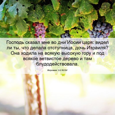 Picture 06 - Иеремия 3:6 RUSV - Господь сказал мне во дни - Bible Verse Picture