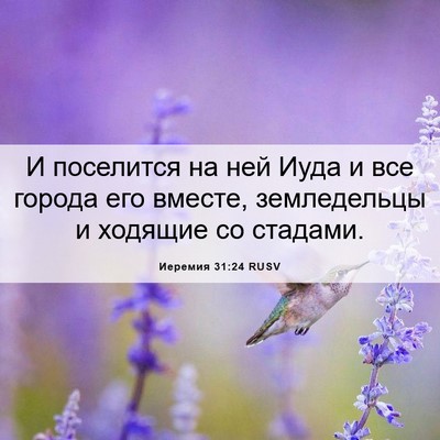 Picture 06 - Иеремия 31:24 RUSV - И поселится на ней Иуда и - Bible Verse Picture