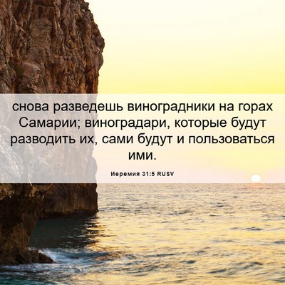 Picture 06 - Иеремия 31:5 RUSV - снова разведешь - Bible Verse Picture