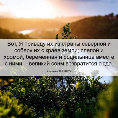 Picture 06 - Иеремия 31:8 RUSV - Вот, Я приведу их из страны - Bible Verse Picture