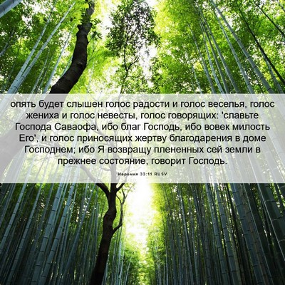 Picture 06 - Иеремия 33:11 RUSV - опять будет слышен голос - Bible Verse Picture