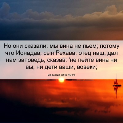 Picture 06 - Иеремия 35:6 RUSV - Но они сказали: мы вина не - Bible Verse Picture
