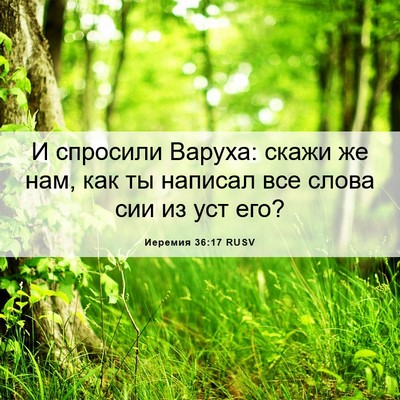 Picture 06 - Иеремия 36:17 RUSV - И спросили Варуха: скажи же - Bible Verse Picture