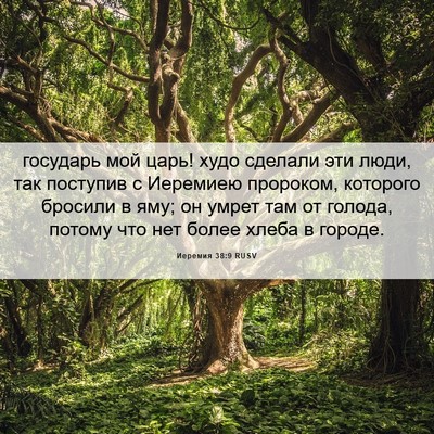 Picture 06 - Иеремия 38:9 RUSV - государь мой царь! худо - Bible Verse Picture