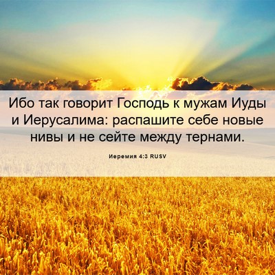 Picture 06 - Иеремия 4:3 RUSV - Ибо так говорит Господь к - Bible Verse Picture