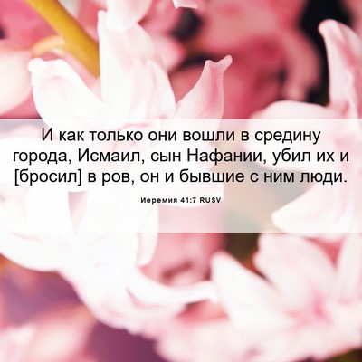 Picture 06 - Иеремия 41:7 RUSV - И как только они вошли в - Bible Verse Picture
