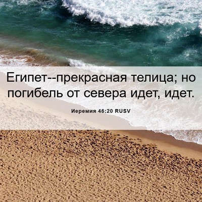 Picture 06 - Иеремия 46:20 RUSV - Египет--прекрасная телица; - Bible Verse Picture