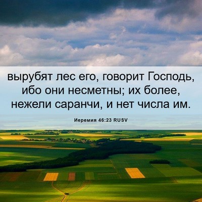 Picture 06 - Иеремия 46:23 RUSV - вырубят лес его, говорит - Bible Verse Picture