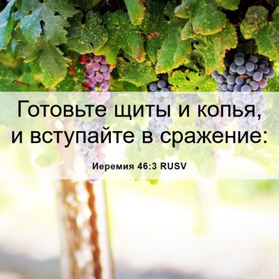 Picture 06 - Иеремия 46:3 RUSV - Готовьте щиты и копья, и - Bible Verse Picture