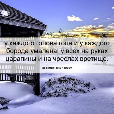 Picture 06 - Иеремия 48:37 RUSV - у каждого голова гола и у - Bible Verse Picture