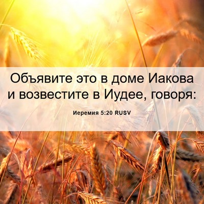 Picture 06 - Иеремия 5:20 RUSV - Объявите это в доме Иакова - Bible Verse Picture