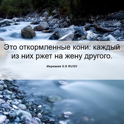 Picture 06 - Иеремия 5:8 RUSV - Это откормленные кони: - Bible Verse Picture