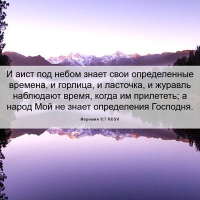 Picture 06 - Иеремия 8:7 RUSV - И аист под небом знает свои - Bible Verse Picture