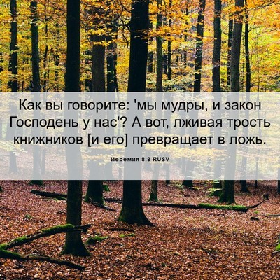 Picture 06 - Иеремия 8:8 RUSV - Как вы говорите: 'мы мудры, - Bible Verse Picture