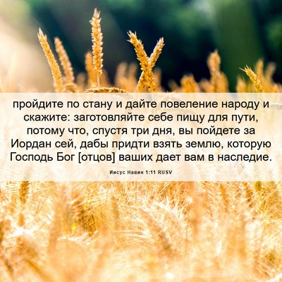 Picture 06 - Иисус Навин 1:11 RUSV - пройдите по стану и дайте - Bible Verse Picture