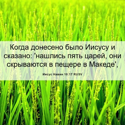 Picture 06 - Иисус Навин 10:17 RUSV - Когда донесено было Иисусу - Bible Verse Picture