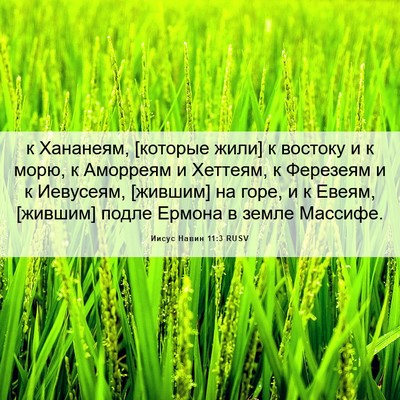 Picture 06 - Иисус Навин 11:3 RUSV - к Хананеям, [которые жили] к - Bible Verse Picture