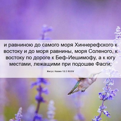 Picture 06 - Иисус Навин 12:3 RUSV - и равниною до самого моря - Bible Verse Picture