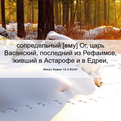 Picture 06 - Иисус Навин 12:4 RUSV - сопредельный [ему] Ог, царь - Bible Verse Picture