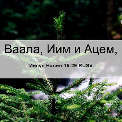Picture 06 - Иисус Навин 15:29 RUSV - Ваала, Иим и - Bible Verse Picture