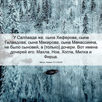 Picture 06 - Иисус Навин 17:3 RUSV - У Салпаада же, сына - Bible Verse Picture