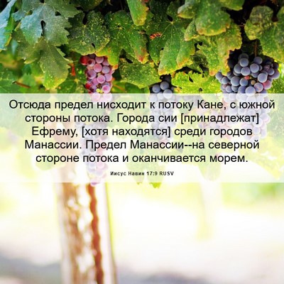 Picture 06 - Иисус Навин 17:9 RUSV - Отсюда предел нисходит к - Bible Verse Picture