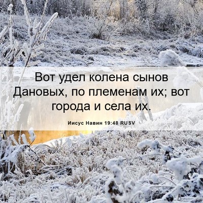 Picture 06 - Иисус Навин 19:48 RUSV - Вот удел колена сынов - Bible Verse Picture