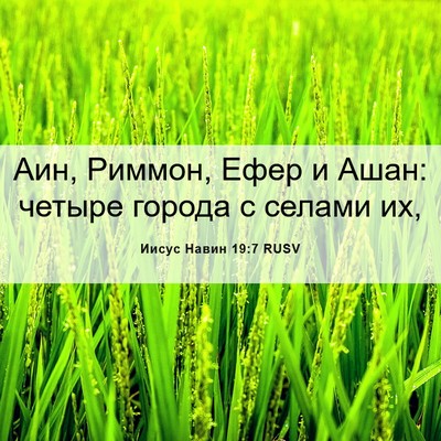 Picture 06 - Иисус Навин 19:7 RUSV - Аин, Риммон, Ефер и Ашан: - Bible Verse Picture