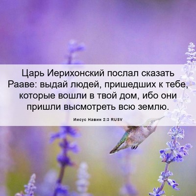 Picture 06 - Иисус Навин 2:3 RUSV - Царь Иерихонский послал - Bible Verse Picture
