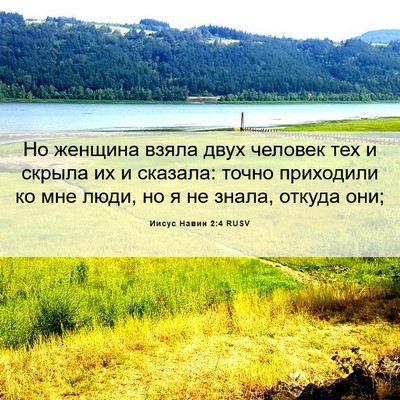 Picture 06 - Иисус Навин 2:4 RUSV - Но женщина взяла двух - Bible Verse Picture