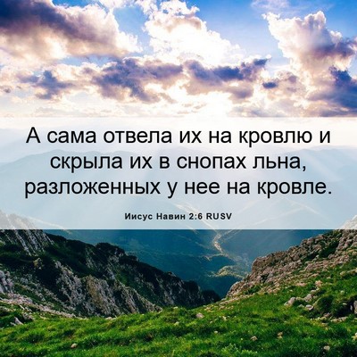 Picture 06 - Иисус Навин 2:6 RUSV - А сама отвела их на кровлю - Bible Verse Picture