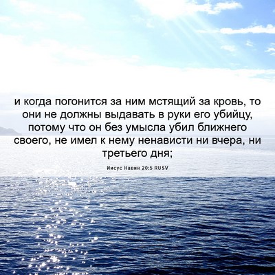 Picture 06 - Иисус Навин 20:5 RUSV - и когда погонится за ним - Bible Verse Picture