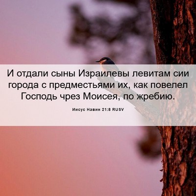 Picture 06 - Иисус Навин 21:8 RUSV - И отдали сыны Израилевы - Bible Verse Picture